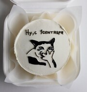 Бенто-торт на День знаний котик мем